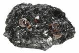 Fluorescent Zircon Crystals in Biotite Schist - Norway #228210-1